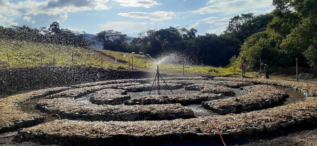 Water Irrigation at Mandala Gardern