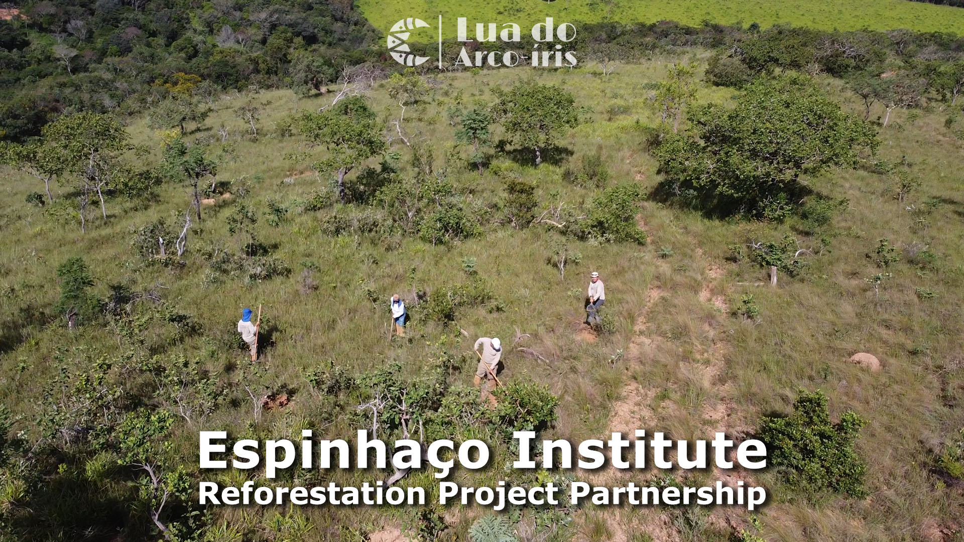 Espinhaço Institute team digging holes for trees