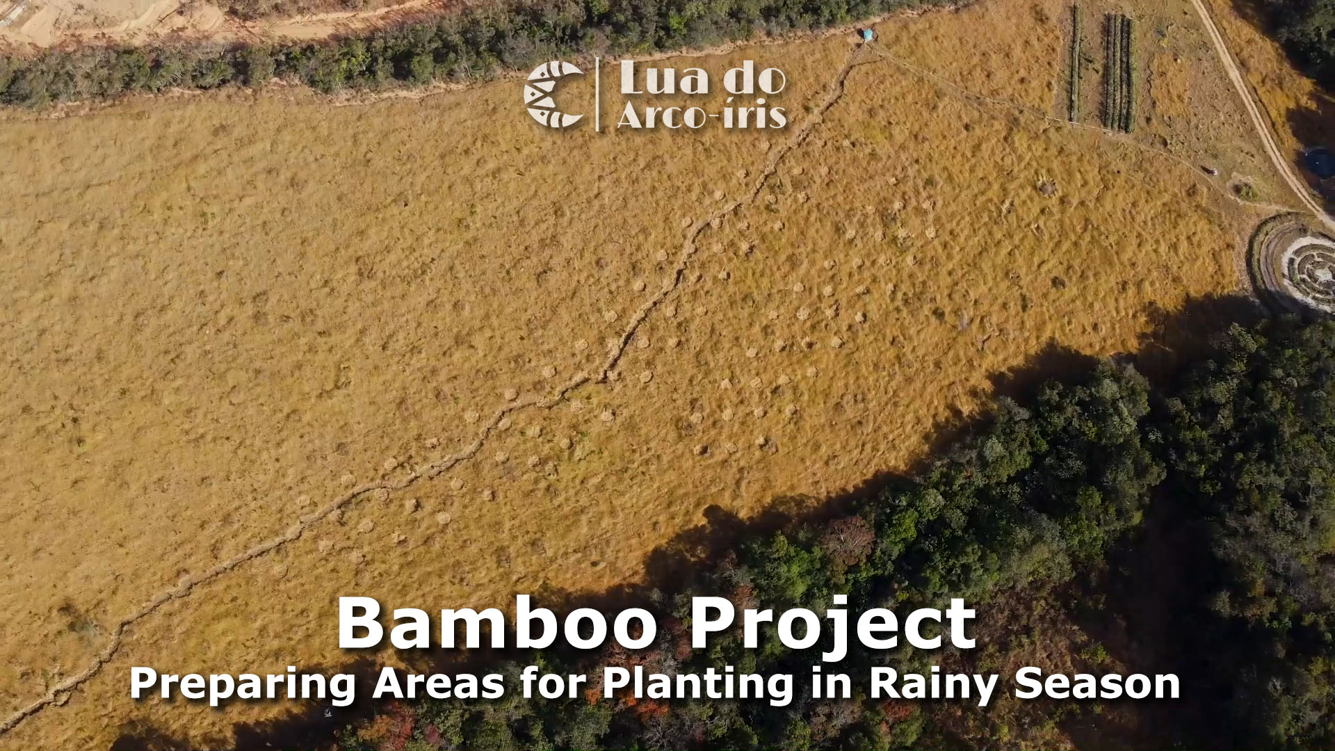 Overhead view of field ready for bamboo plants