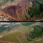 two photos showing black land from a brush fire and then the land getting greener