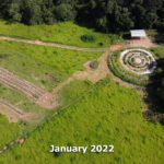 Overhead view of Agroforestry project January 2022