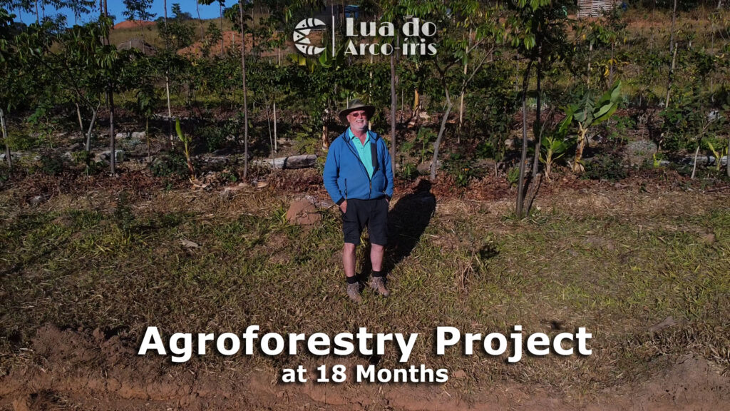 Agroforestry Project 18 Month Update Lua Do Arco íris