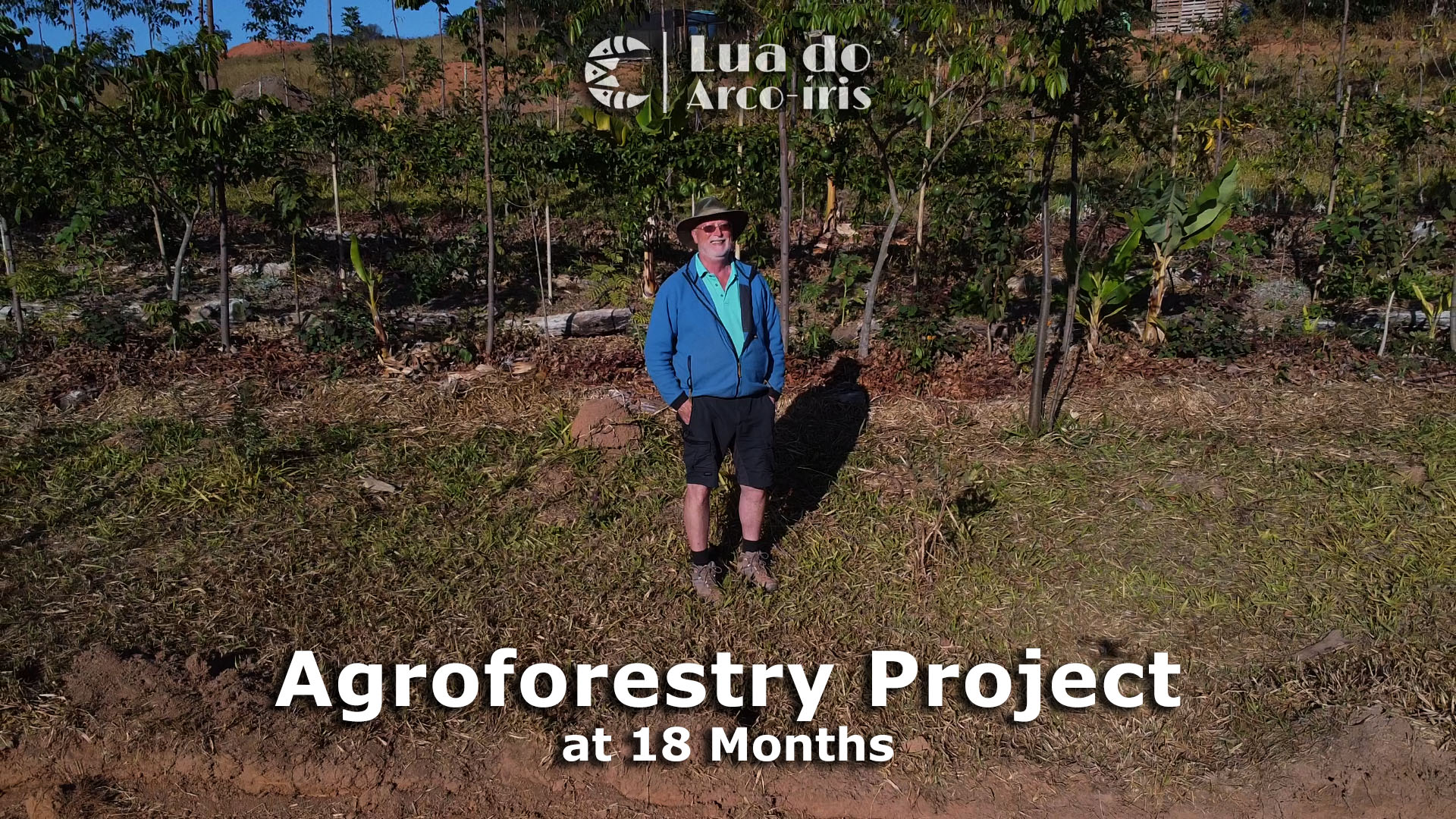 Agroforestry Project at 18 Months